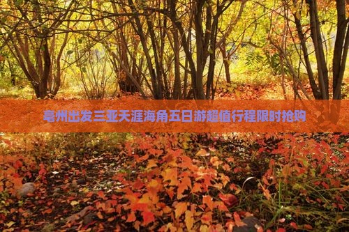 亳州出发三亚天涯海角五日游