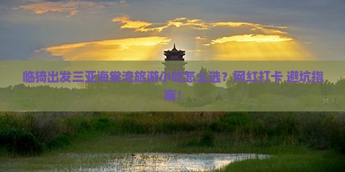 临猗出发三亚海棠湾旅游小吃