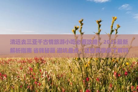 清远去三亚千古情旅游小吃