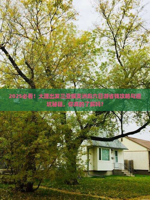 大理出发三亚蜈支洲岛六日游