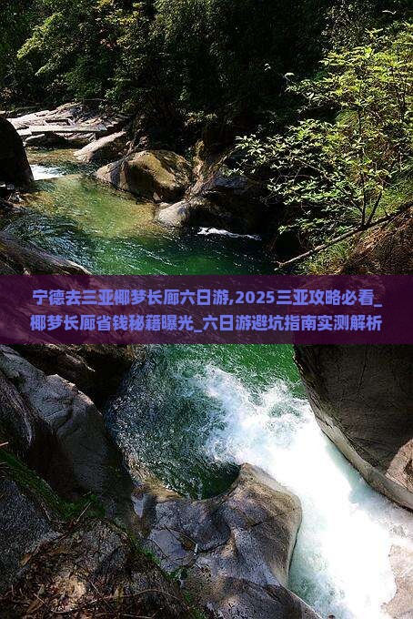 宁德去三亚椰梦长廊六日游