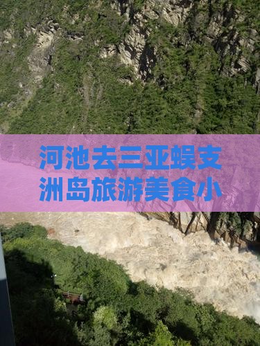 河池去三亚蜈支洲岛旅游小吃