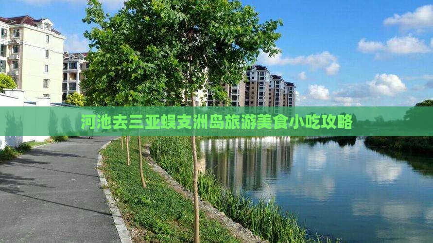 河池去三亚蜈支洲岛旅游小吃