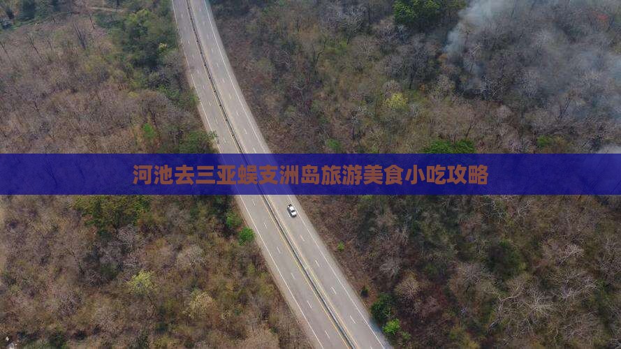 河池去三亚蜈支洲岛旅游小吃