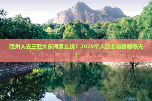 随州去三亚大东海个人游