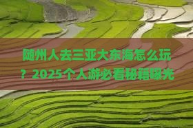 随州去三亚大东海个人游