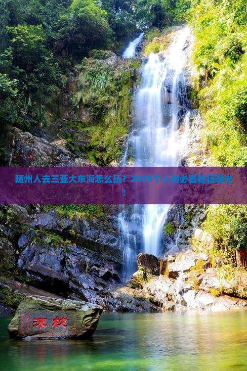 随州去三亚大东海个人游