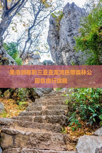 果洛游客到三亚亚龙湾热带森林公园自由行攻略