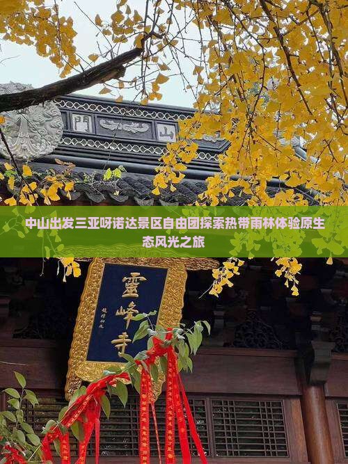 中山出发三亚呀诺达景区自由团探索热带雨林体验原生态风光之旅