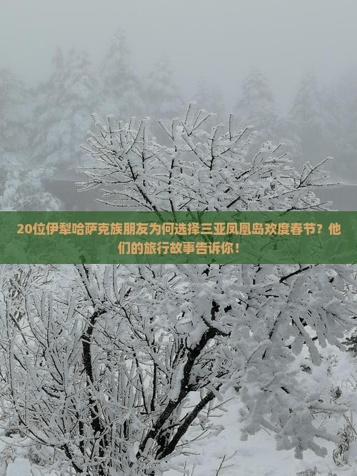 伊犁哈萨克前往三亚凤凰岛团体旅游