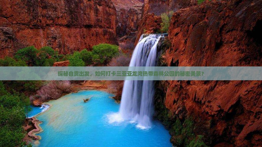 自贡前往三亚亚龙湾热带森林公园旅游打卡点