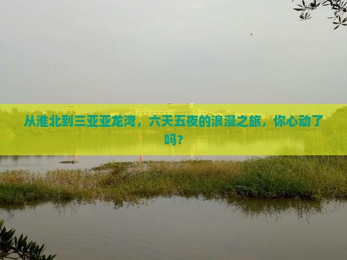 淮北前往三亚亚龙湾国际玫瑰谷六日游