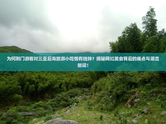 荆门前往三亚后海旅游小吃