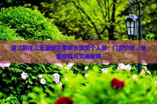 湛江前往三亚亚特兰蒂斯水族馆个人游