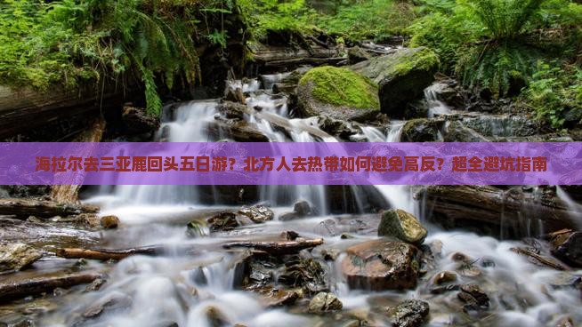 海拉尔去三亚鹿回头五日游