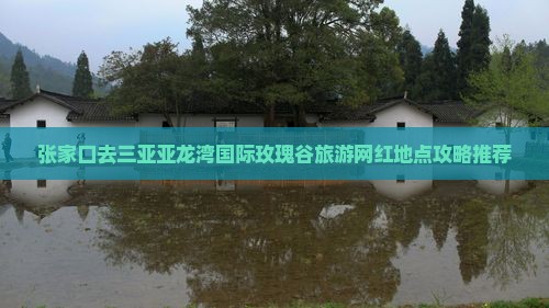 张家口去三亚亚龙湾国际玫瑰谷旅游网红地点 张家口去三亚亚龙湾国际玫瑰谷旅游网红地点