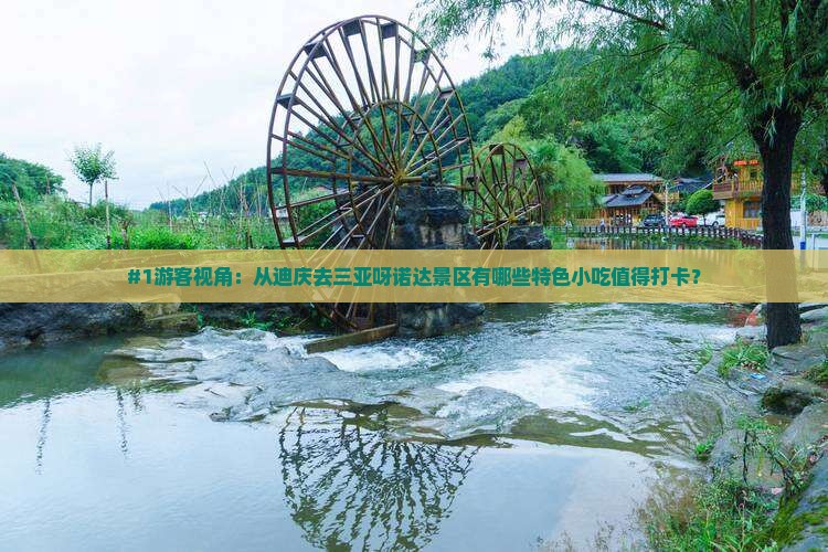 迪庆出发三亚呀诺达景区旅游小吃