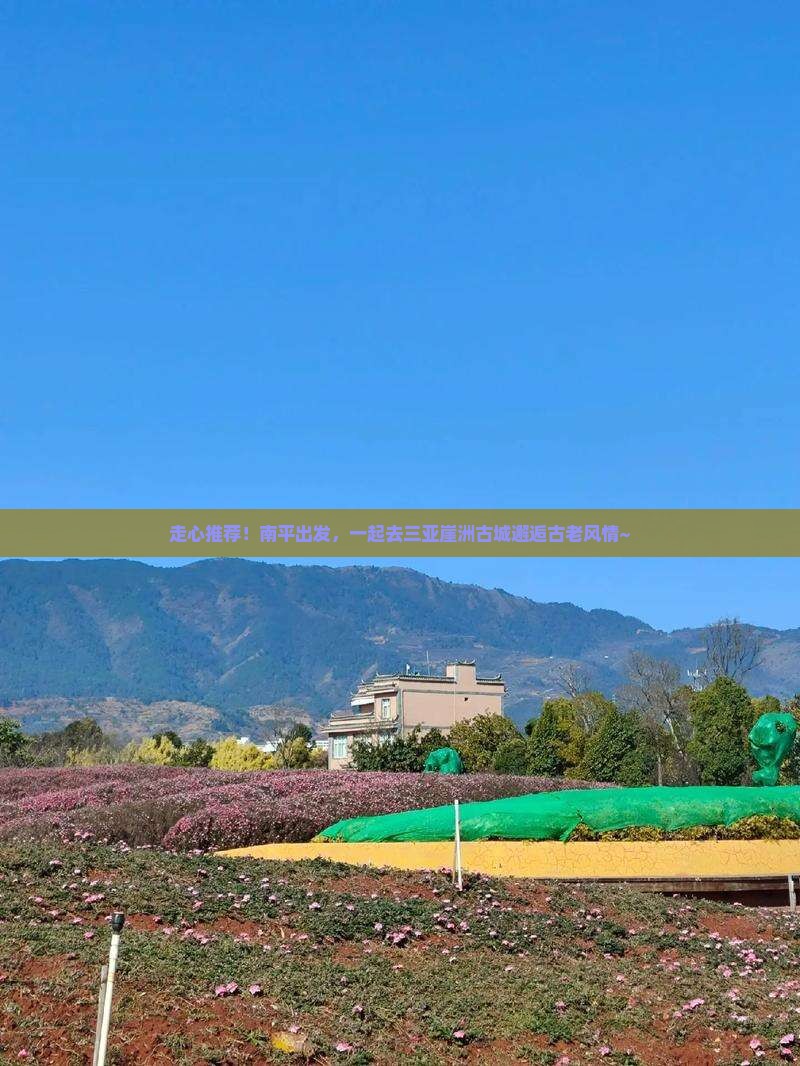 南平前往三亚崖洲古城自由团