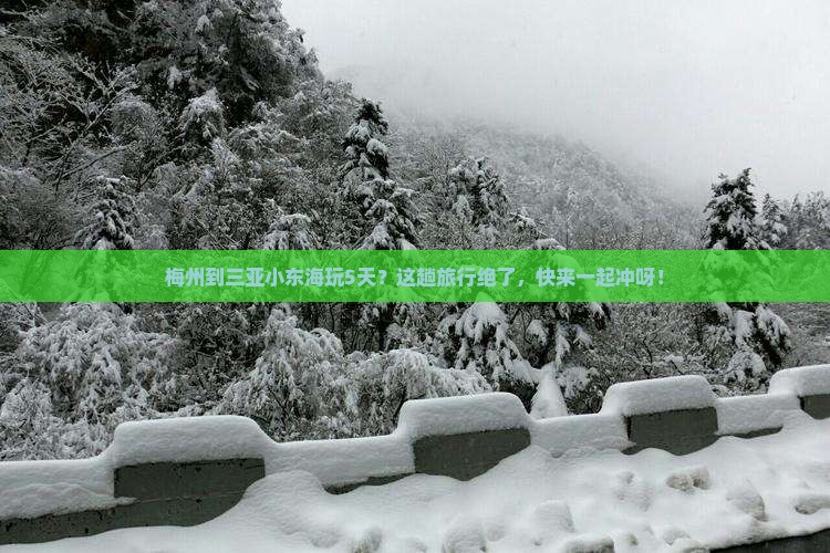 梅州去三亚小东海五日游