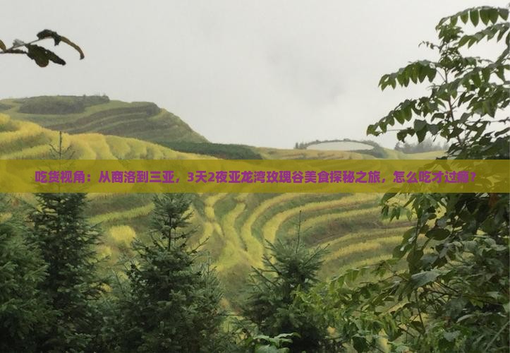 商洛出发三亚亚龙湾国际玫瑰谷旅游小吃