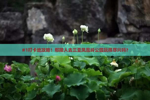 鄢陵县前往三亚凤凰岭公园旅游打卡点