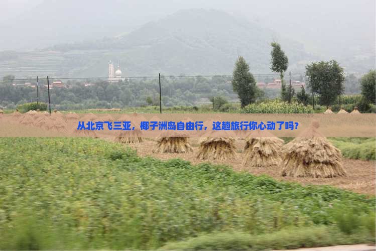 北京去三亚椰子洲岛自由团