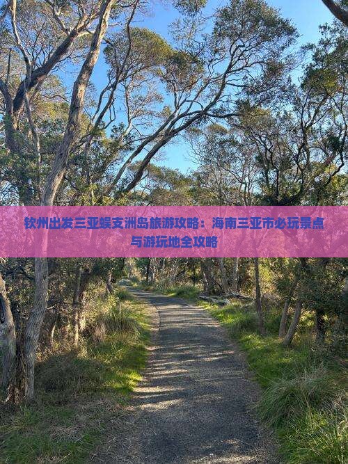 钦州去三亚蜈支洲岛必玩地