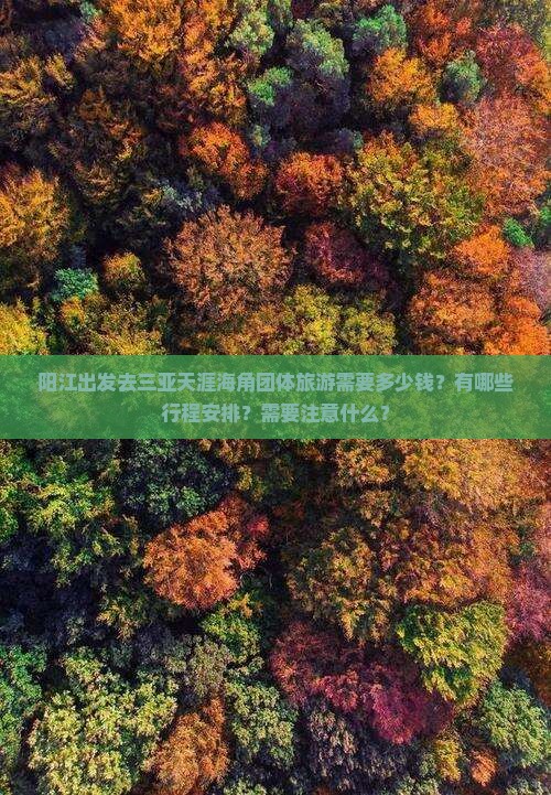 阳江前往三亚天涯海角团体旅游