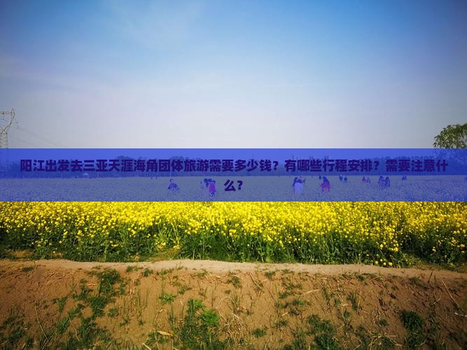 阳江前往三亚天涯海角团体旅游
