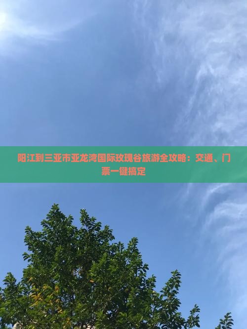 阳江出发三亚亚龙湾国际玫瑰谷旅游