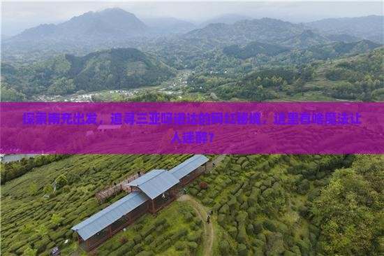 南充前往三亚呀诺达景区旅游网红地点
