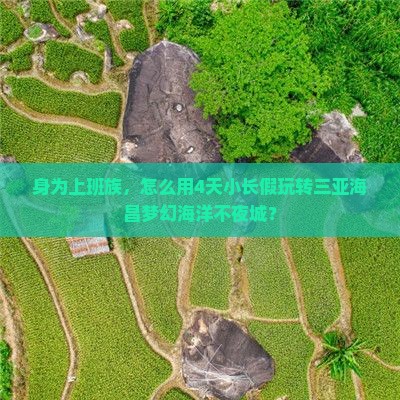 天水前往三亚海昌梦幻海洋不夜城四日游