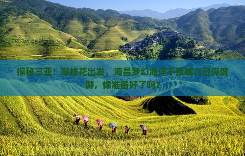 攀枝花去三亚海昌梦幻海洋不夜城六日游