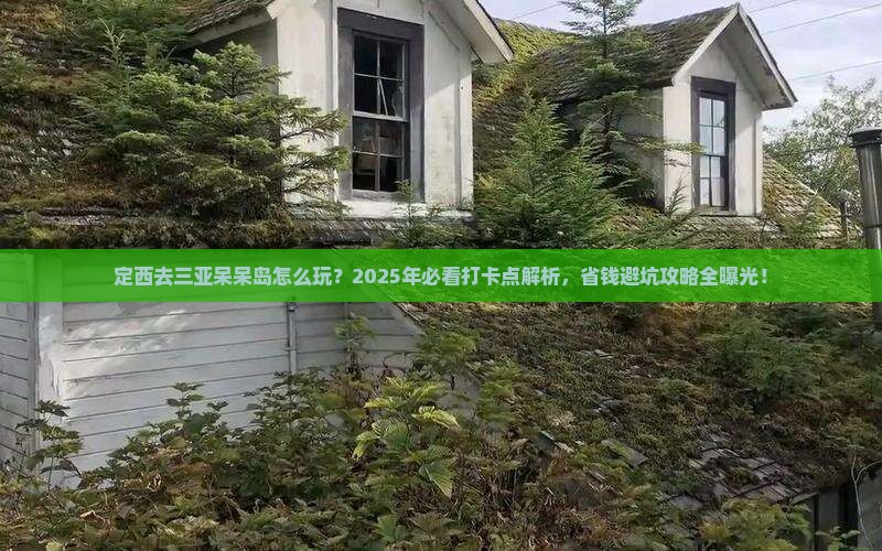 定西去三亚呆呆岛旅游打卡点