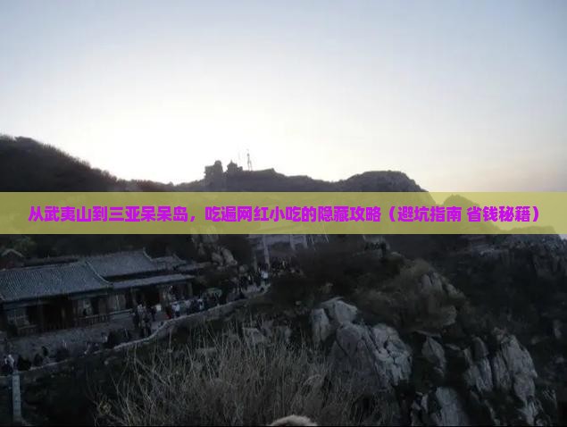 武夷山去三亚呆呆岛旅游小吃