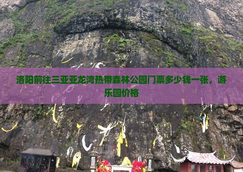 洛阳前往三亚亚龙湾热带森林公园门票