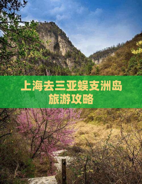 上海去三亚蜈支洲岛旅游网红地点