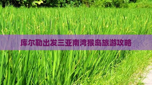 库尔勒去三亚南湾猴岛旅游
