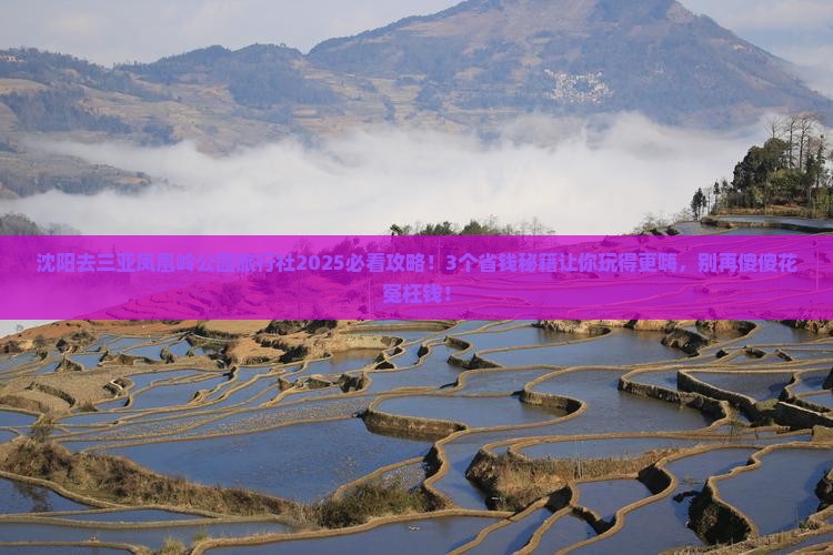 沈阳去三亚凤凰岭公园旅行社
