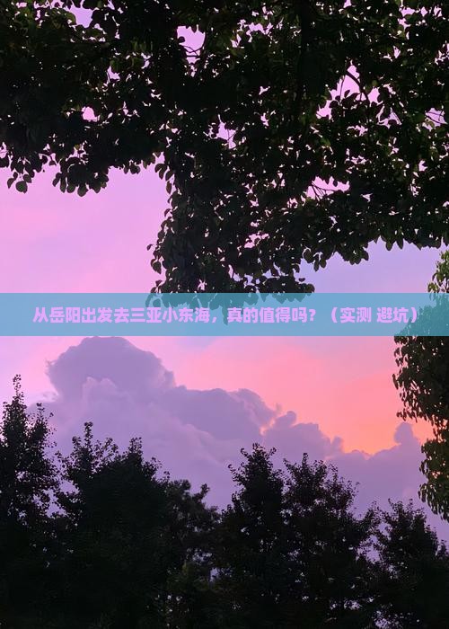 岳阳出发三亚小东海攻略
