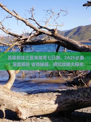 吕梁前往三亚海棠湾七日游 吕梁前往三亚海棠湾七日游