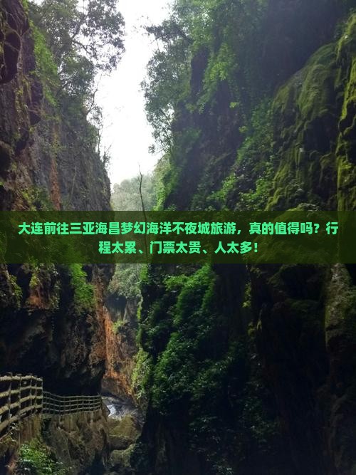大连前往三亚海昌梦幻海洋不夜城旅游