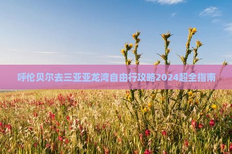 呼伦贝尔去三亚亚龙湾自由行