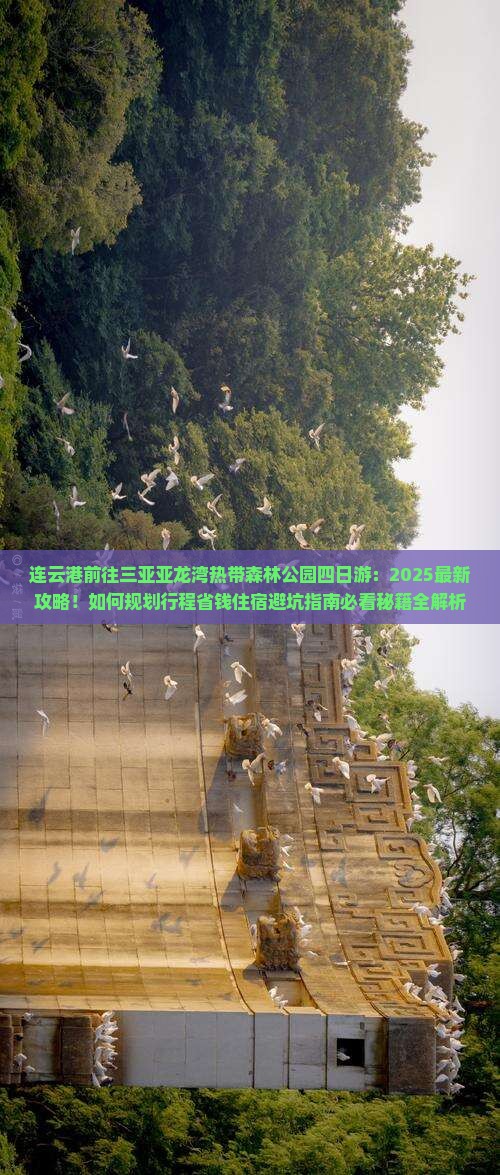 连云港前往三亚亚龙湾热带森林公园四日游