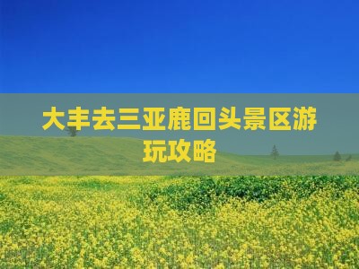 大丰去三亚鹿回头哪里玩