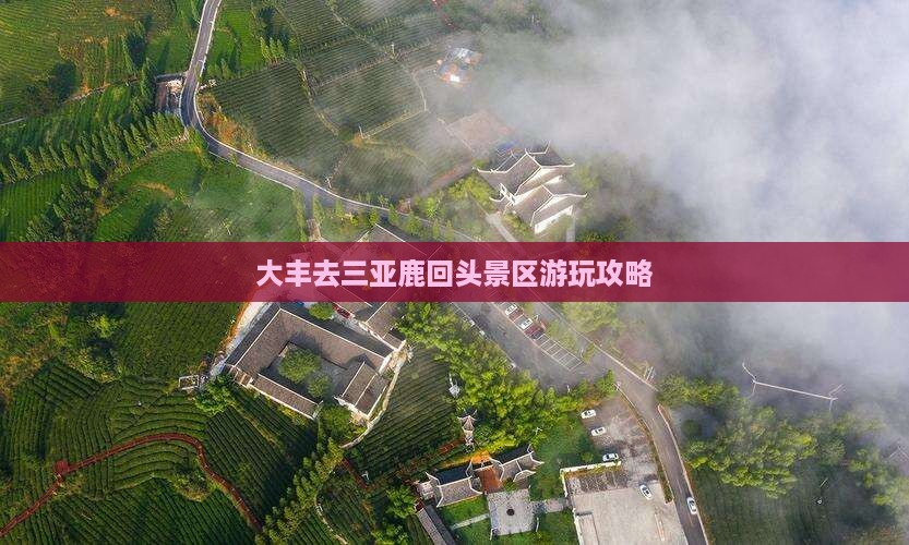 大丰去三亚鹿回头哪里玩