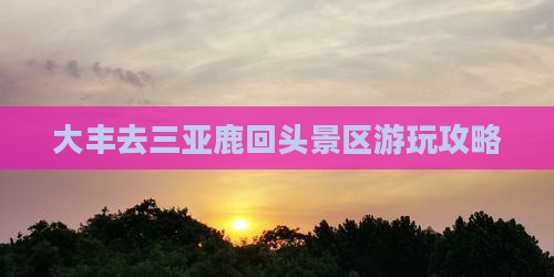 大丰去三亚鹿回头哪里玩