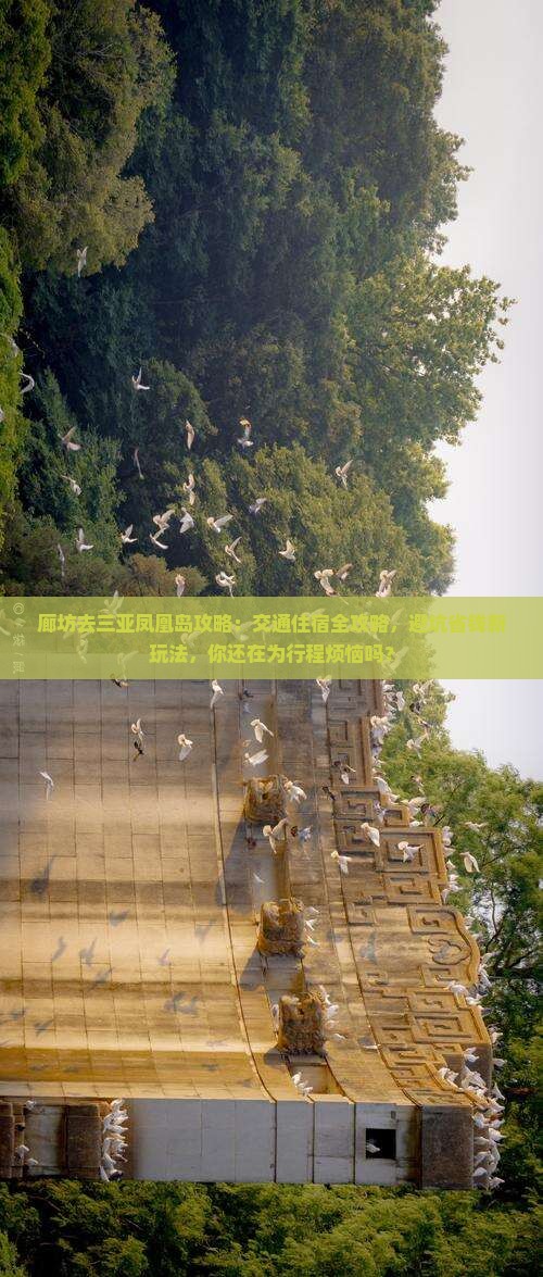 廊坊去三亚凤凰岛攻略