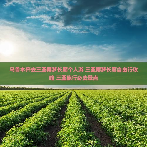 乌鲁木齐去三亚椰梦长廊个人游