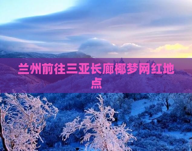 兰州前往三亚椰梦长廊旅游网红地点
